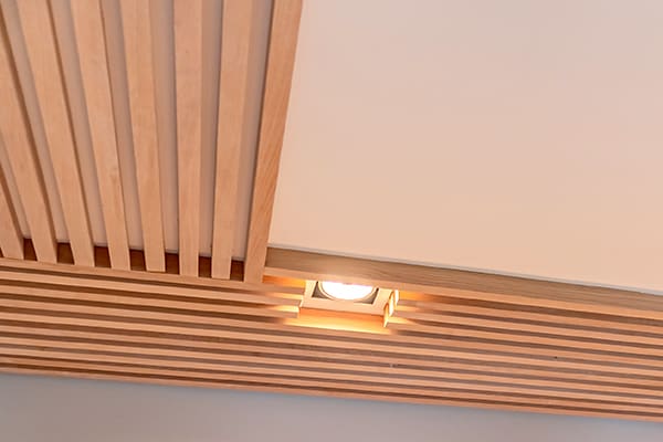 Luz